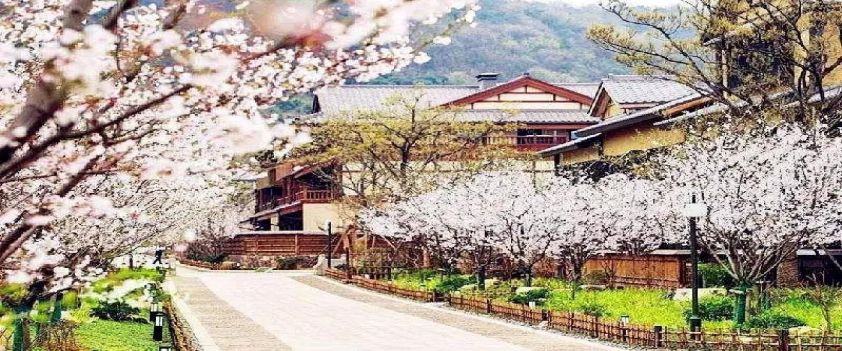 無錫拈花(huā)灣純玩(wán)二日(rì)遊