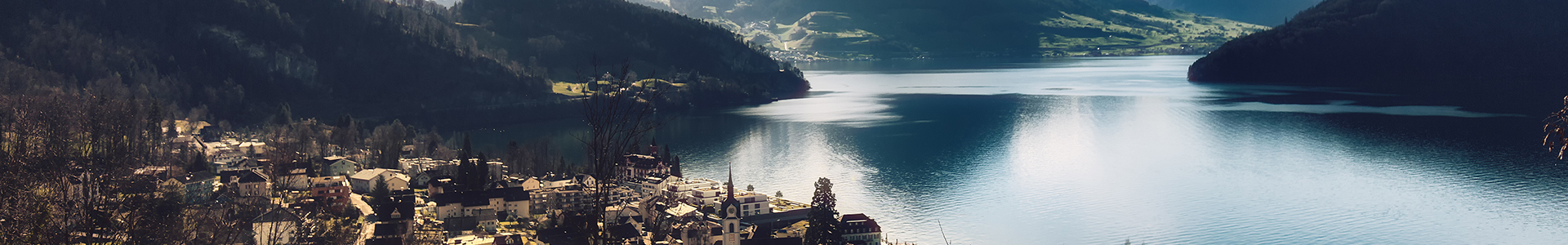 旅遊大(dà)管家(jiā)